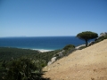 anda-tarifa-west-(c)_evelyn_steinbach_trend4ward_trendblog.de