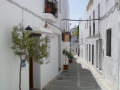 anda_vejer_(c)_evelyn_steinbach_trend4ward_trendblog.de