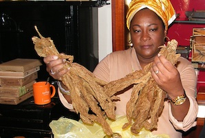 2__La Galana_Steinbach
