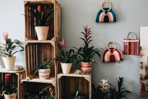 Vintage Bromelien